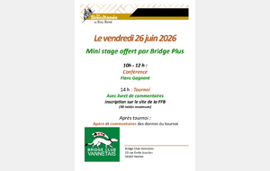 Stage Bridge Plus